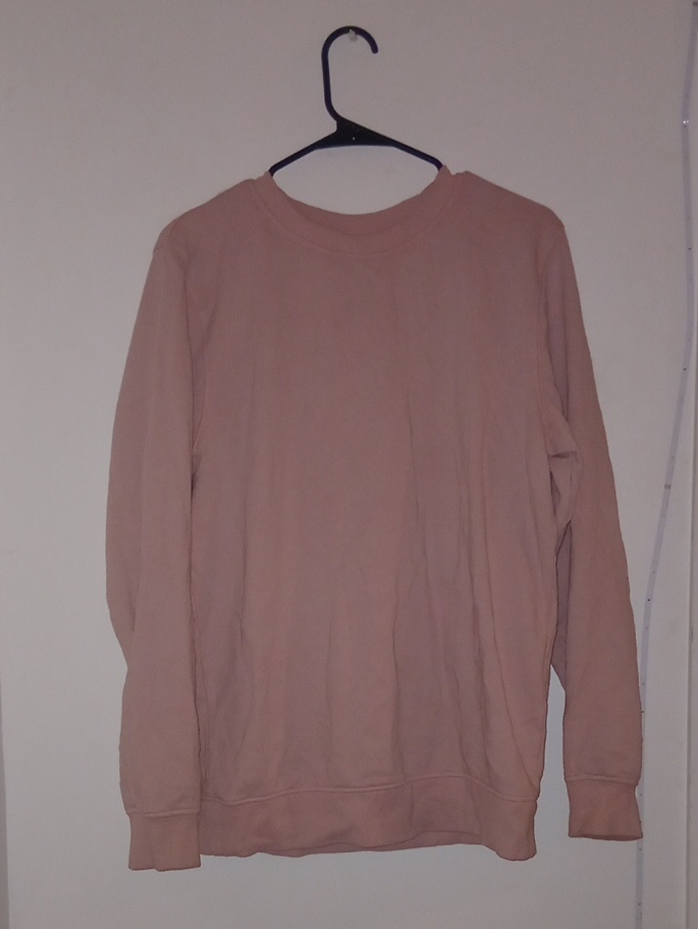 Men's Crewneck Sweatshirt in Dusty Rose